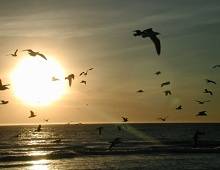 علاة الهمم وبناء الأمم