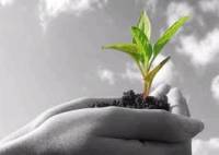 Die Gerechtigkeit des Isl�ms bei der Erbverteilung