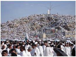 Le mérite du jour de ‘Arafat et l’attitude des vertueux prédécesseurs à son égard 