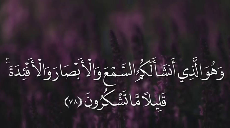 وجعل لكم السمع والأبصار والأفئدة (3)