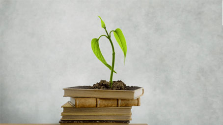 لماذا العقيدة أولًا؟