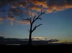 وقفات في وداع العام الهجري