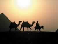 الجلاء الثاني لليهود  عن المدينة (بني النضير)