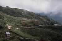 غزوة الطائف