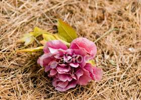 هذه حقيقتهم .. فاحذريهم