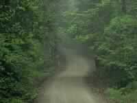 الدنيا في نظر النبي صلى الله عليه وسلم 