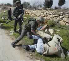 2 Palestinians, 1 Israeli Soldier Killed