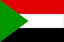 Cargo Plane Crashes in Sudan, Seven Crew Killed