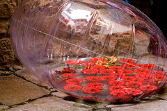 Garant&iacute;as de los derechos de la esposa