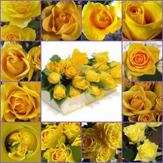 Sus esposas, un an&aacute;lisis - II