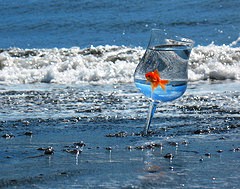 Nuestras j&oacute;venes est&aacute;n expuestas a la extorsi&oacute;n (Parte 2)