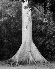 Formas de conspiraci&oacute;n del enemigo en contra de nuestros j&oacute;venes (1)