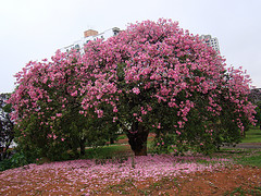Formas de conspiraci&oacute;n del enemigo en contra de nuestros j&oacute;venes (2)