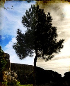 La educaci&oacute;n de los hijos entre lo negativo y lo positivo