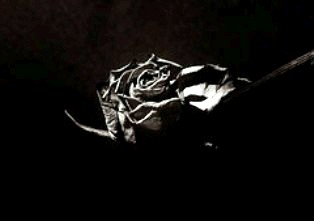 El esposo cr&iacute;tico (Parte II)