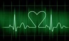 El rol crucial del coraz&oacute;n